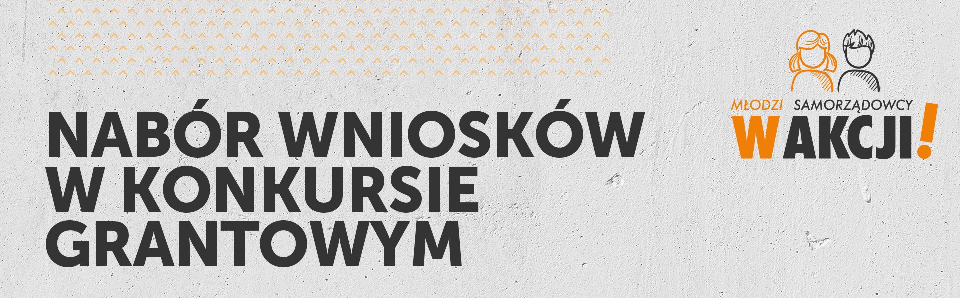 „Młodzi samorządowcy w akcji!”: STARTUJE NABÓR WNIOSKÓW